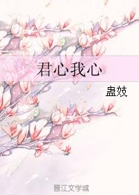 君心沦陷,一段爱恨交织的情感纠葛