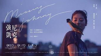 强尼凯克,探索虚拟现实与人类情感的奇妙交融